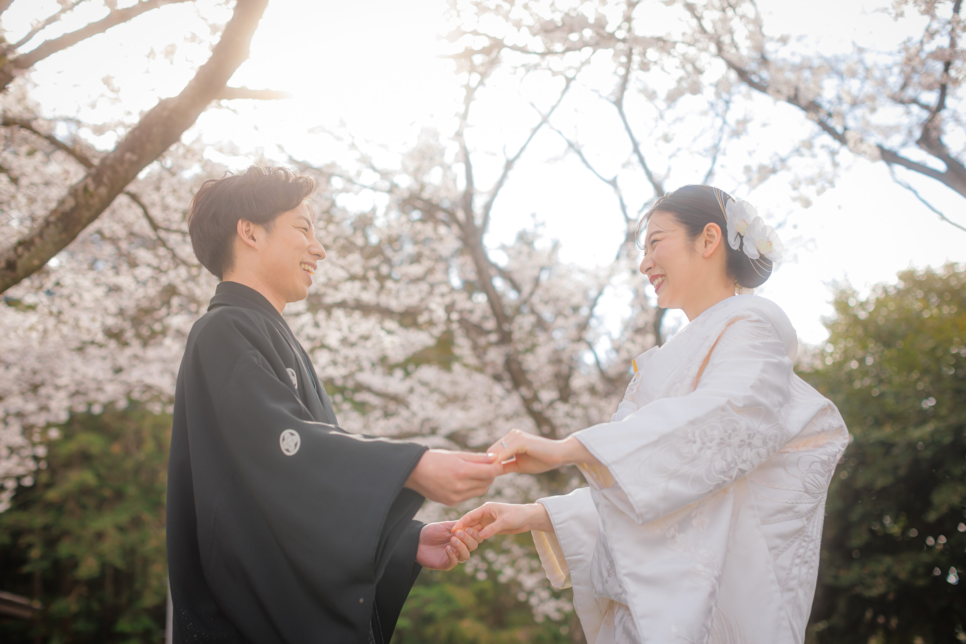 桜の下で手を取り合う新郎新婦。和装前撮り