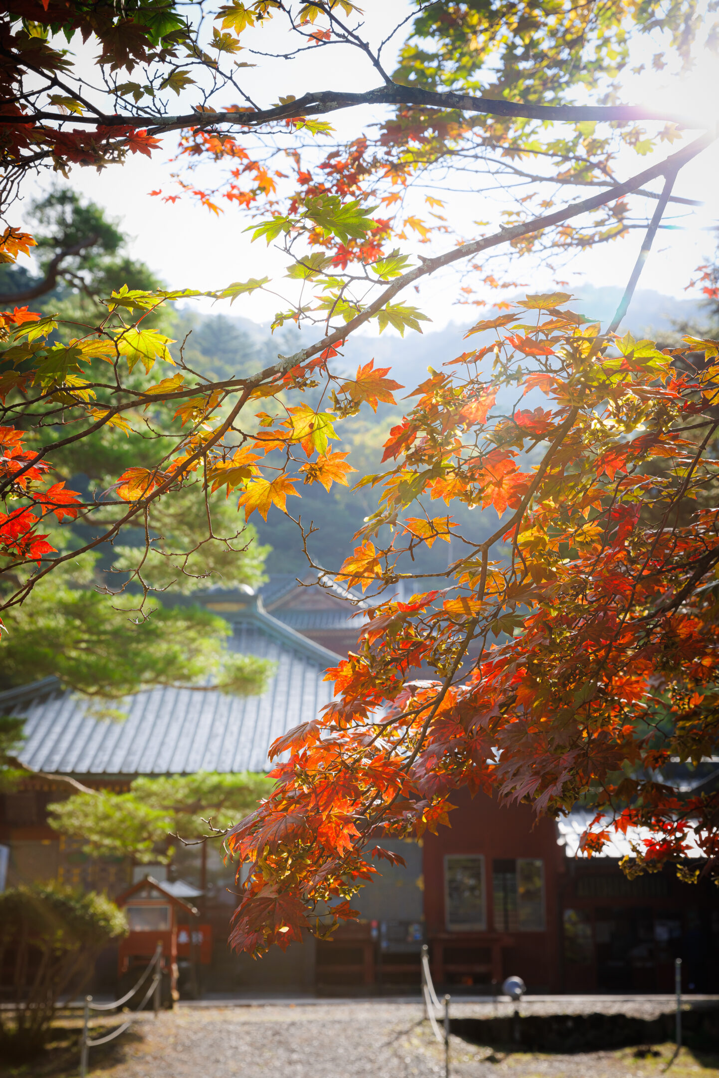 中禅寺立木観音の桂の紅葉