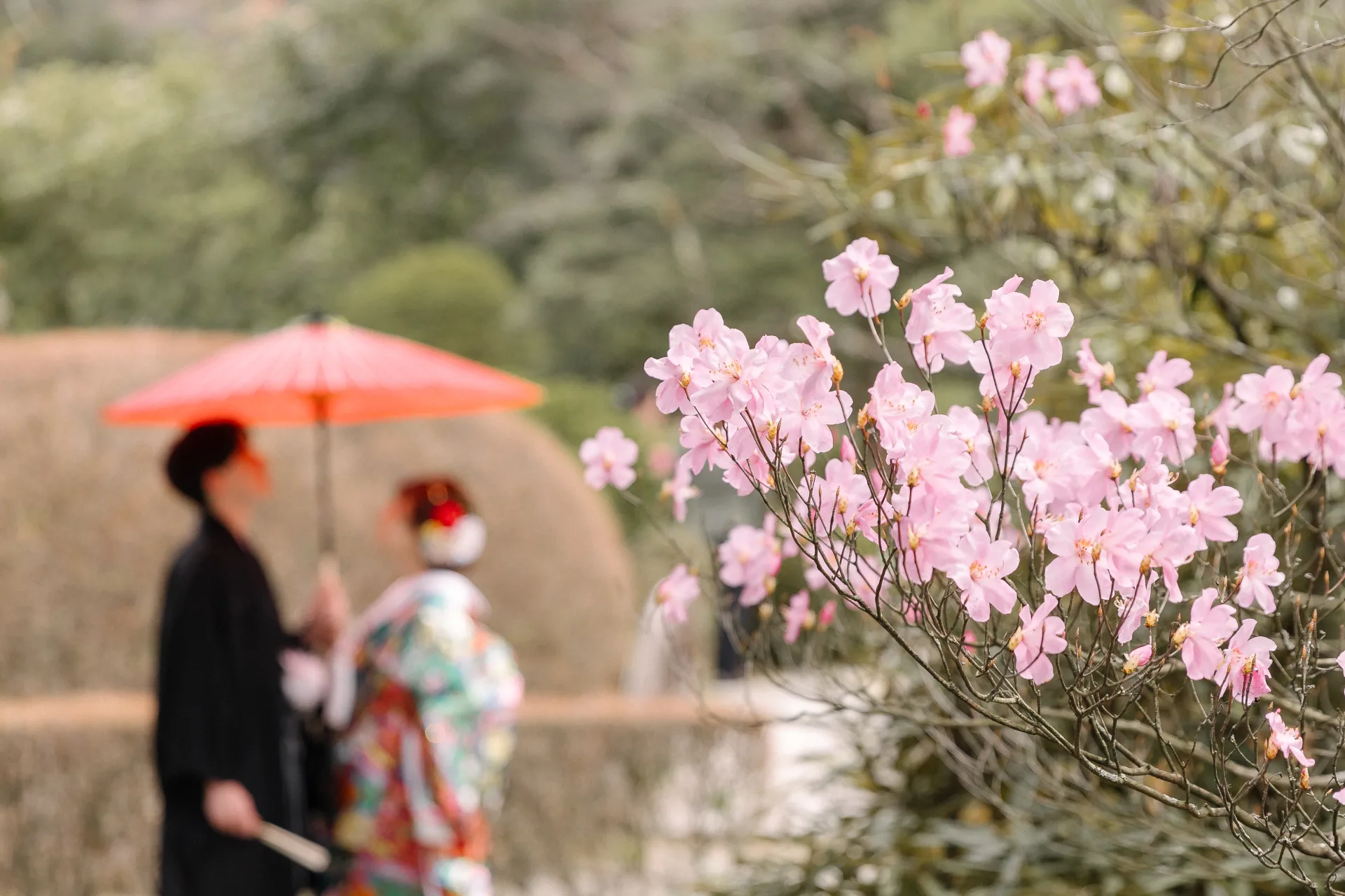 LINE_ALBUM_240411_Photo_260411_122