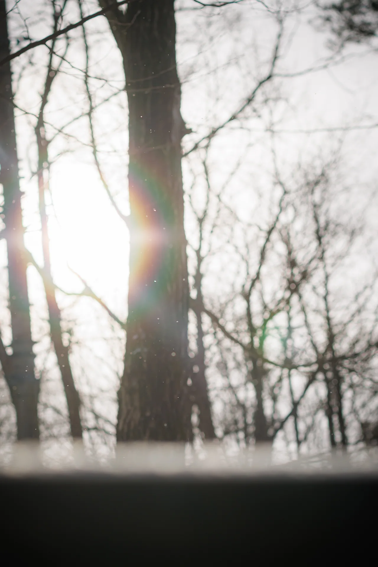 LINE_ALBUM_250201_Photo_260410_112