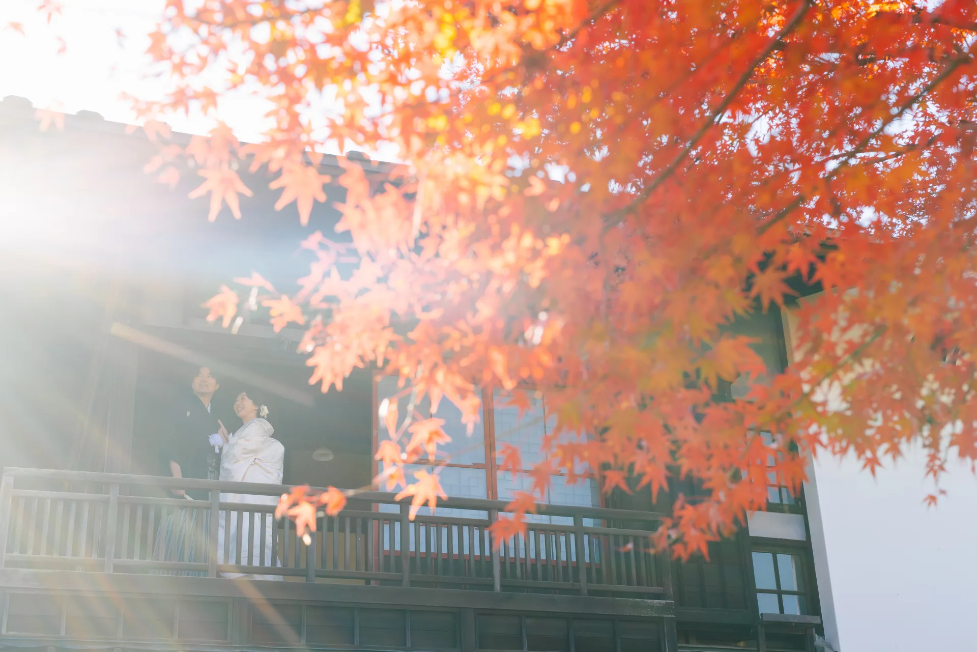 LINE_ALBUM_251117_Photo_260414_51