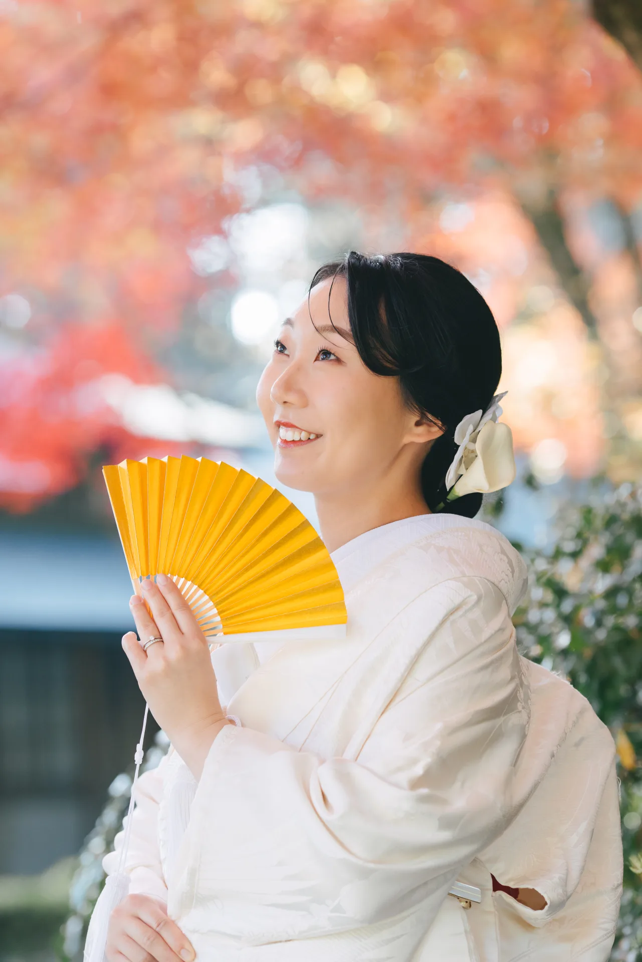 LINE_ALBUM_251117_Photo_260414_75