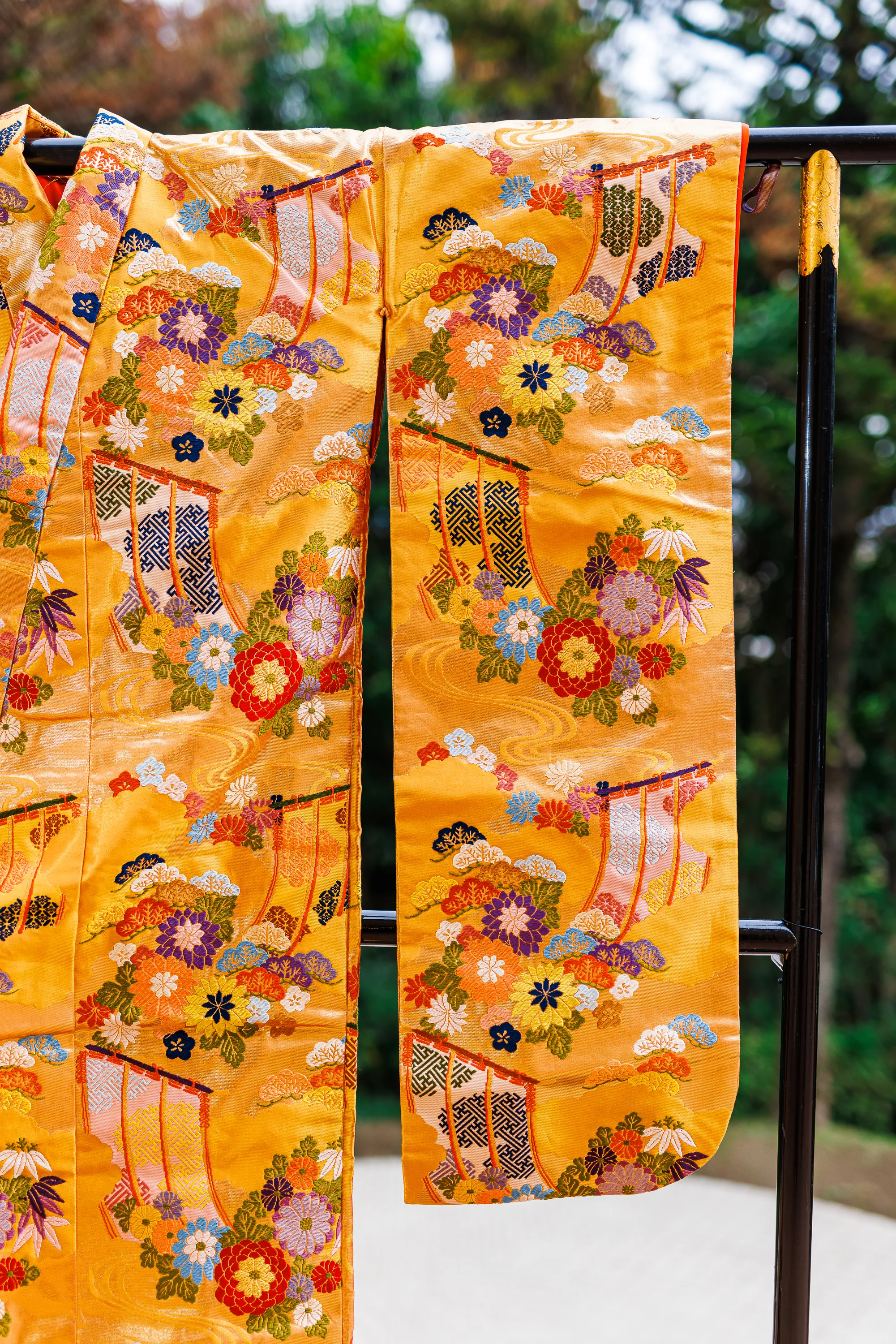 金色・赤ふき 3