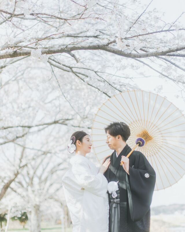 満開の桜が祝福してくれました🌸👘 @kaoru198.kimono
👘 @kitsuke_53_yui📸💄 @fruitsphoto.wedding・
《夏の撮影受付中》
5月〜8月の和装撮影は奥日光へ！4/30までにお申込いただいたお客さまにはもれなく以下の中から2つお好きなものをプレゼント🎁・受付展示用フォトブック
・手書きできるチェキ風フォトカード
・これから流行る？アクリルスタンド
・撮影にも展示にも使えるお二人のお名前習字
・できれば作りたいウェルカムボード✤販売価格✤
¥198,000(税込)
※撮影地の入場料・撮影利用料など別途ご負担頂きます
※衣裳持込無料
※土日祝追加料金無料✤含まれるもの✤
・編集済みデータ100カット以上
・花嫁美容
・衣裳レンタル1着(白無垢・色打掛・引振袖 / 羽織袴)
・着付師手配
・造花ヘッドパーツ
・栃木県内のスタッフ交通費
・撮影小物直近の撮影もぜひ一度ご相談ください✤ーーーーーーーーーーーーーーーーーーーーーーーーー✤
僕たちは日光を中心に和装写真を撮影している夫婦です。
僕たち夫婦と一緒に素敵な撮影体験をしてみませんか？お問い合わせ・お申込は @fruitsphoto.wedding
プロフィールから公式LINEが便利です
ご成約前のオンライン相談だけも随時受付中FruitsPhotoはあなたとのご縁を楽しみにしております。
✤ーーーーーーーーーーーーーーーーーーーーーーーーー✤
#本当に美しい和装写真 📸𝑭𝒓𝒖𝒊𝒕𝒔 𝑷𝒉𝒐𝒕𝒐#和装前撮り
#2025春婚
#2025夏婚
#2025秋婚
#2025冬婚
#結婚写真
#和装花嫁
#白無垢
#和装ロケーションフォト
#和装ロケーション撮影
#チェリフォト
#cherish_photo_days
#桜
#桜フォト
#桜前撮り