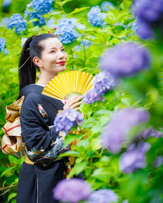 ・
紫陽花のサイズが顔くらいの大きさで一同驚き🫢👘 @kaoru198.kimono
📽️ @hossyck4vm
📸💄 @fruitsphoto.wedding・
《夏の撮影受付中》
5月〜8月の和装撮影は奥日光へ！
お申込いただいたお客さまにはもれなく以下の中から1つお好きなものをプレゼント🎁・受付展示用フォトブック
・手書きできるチェキ風フォトカード
・これから流行る？アクリルスタンド
・撮影にも展示にも使えるお二人のお名前習字
・できれば作りたいウェルカムボード✤販売価格✤
¥198,000(税込)
※撮影地の入場料・撮影利用料など別途
※衣裳持込無料
※土日祝追加料金無料✤含まれるもの✤
・編集済みデータ100カット以上
・花嫁美容
・衣裳レンタル1着(白無垢・色打掛・引振袖 / 羽織袴)
・着付師手配
・造花ヘッドパーツ
・栃木県内のスタッフ交通費
・撮影小物直近の撮影もぜひ一度ご相談ください✤ーーーーーーーーーーーーーーーーーーーーーーーーー✤
私たちは日光を中心に和装写真を撮影している夫婦です。
一緒に素敵な撮影体験をしてみませんか？お問い合わせ・お申込は @fruitsphoto.wedding
プロフィールから公式LINEが便利です
ご成約前のオンライン相談だけも随時受付中FruitsPhotoはあなたとのご縁を楽しみにしております。
✤ーーーーーーーーーーーーーーーーーーーーーーーーー✤#紫陽花