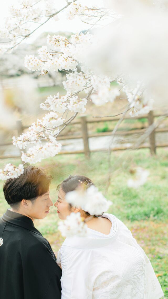 ・
thanks
👘 @kaoru198.kimono
👘 @kitsuke_53_yui
📸💄 @fruitsphoto.wedding・
《夏の撮影受付中》
5月〜8月の和装撮影は奥日光へ！
お申込いただいたお客さまにはもれなく以下の中から1つお好きなものをプレゼント🎁・受付展示用フォトブック
・手書きできるチェキ風フォトカード
・これから流行る？アクリルスタンド
・撮影にも展示にも使えるお二人のお名前習字
・できれば作りたいウェルカムボード✤販売価格✤
¥198,000(税込)
※撮影地の入場料・撮影利用料など別途
※衣裳持込無料
※土日祝追加料金無料✤含まれるもの✤
・編集済みデータ100カット以上
・花嫁美容
・衣裳レンタル1着(白無垢・色打掛・引振袖 / 羽織袴)
・着付師手配
・造花ヘッドパーツ
・栃木県内のスタッフ交通費
・撮影小物直近の撮影もぜひ一度ご相談ください✤ーーーーーーーーーーーーーーーーーーーーーーーーー✤
私たちは日光を中心に和装写真を撮影している夫婦です。
一緒に素敵な撮影体験をしてみませんか？お問い合わせ・お申込は @fruitsphoto.wedding
プロフィールから公式LINEが便利です
ご成約前のオンライン相談だけも随時受付中FruitsPhotoはあなたとのご縁を楽しみにしております。
✤ーーーーーーーーーーーーーーーーーーーーーーーーー✤
#本当に美しい和装写真 📸𝑭𝒓𝒖𝒊𝒕𝒔 𝑷𝒉𝒐𝒕𝒐#和装前撮り
#結婚写真
#和装婚
#和装ロケーション
#チェリフォト
#cherish_photo_days